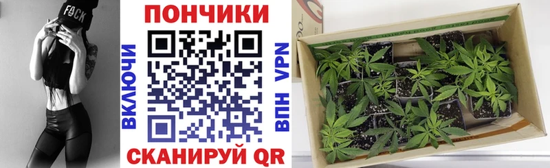 Купить ГАШ  Кокаин  Галлюциногенные грибы  Каннабис  Меф мяу мяу  АМФЕТАМИН  Судогда