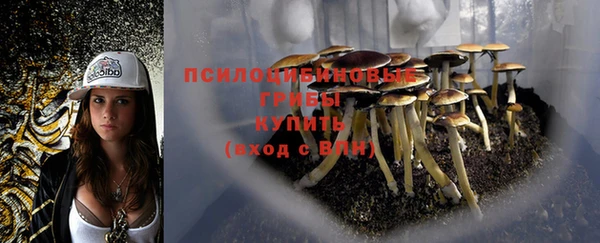 гашиш Горняк