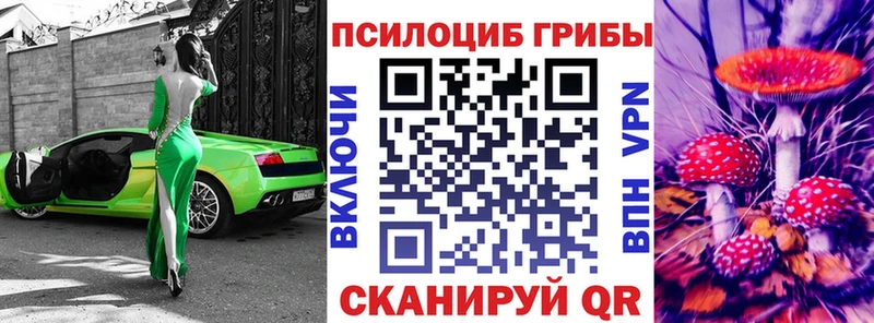 Галлюциногенные грибы ЛСД  Купить  Судогда 