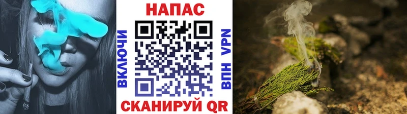 Купить закладки  Судогда  Конопля сатива 